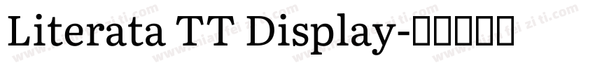 Literata TT Display字体转换